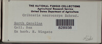 Image Associated With the Occurence